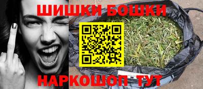 индика Гусиноозёрск