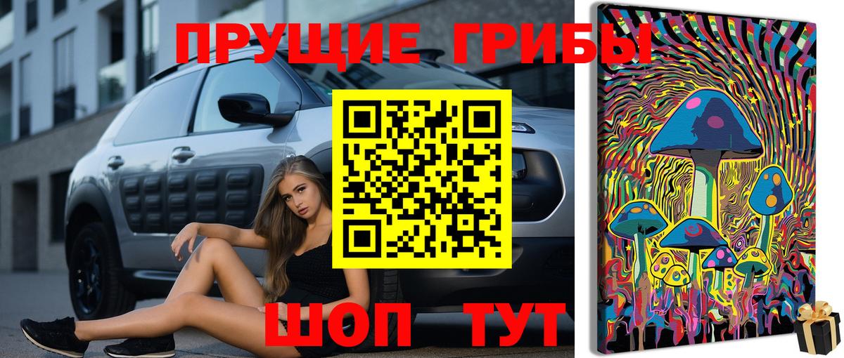 Псилоцибиновые грибы GOLDEN TEACHER  Вход с VPN  Нововоронеж 