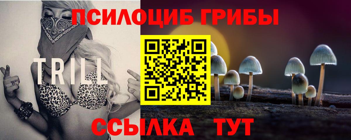 Галлюциногенные грибы мухоморы Нововоронеж